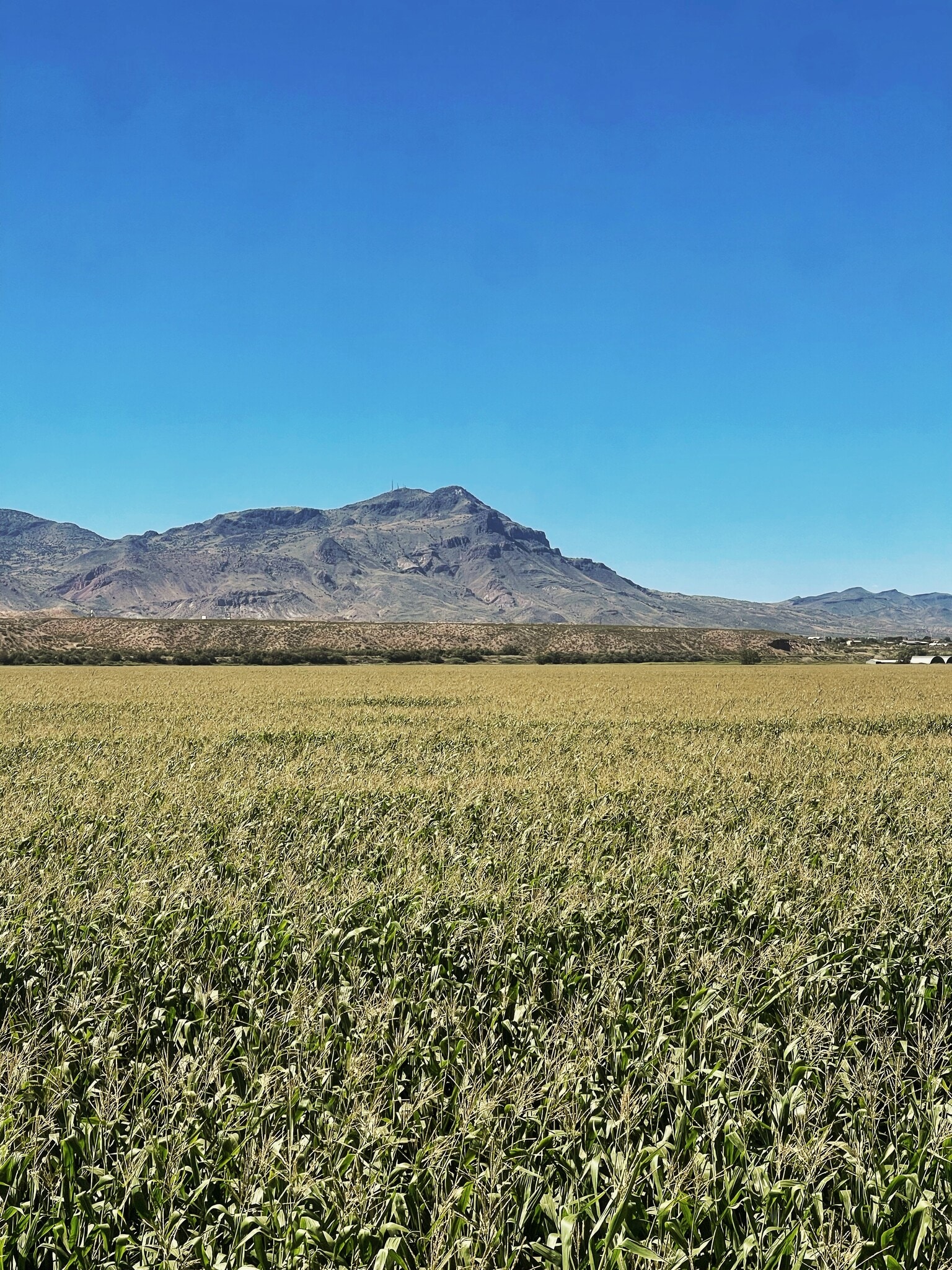 1800 Hope Farms Rd, Socorro, NM for Sale