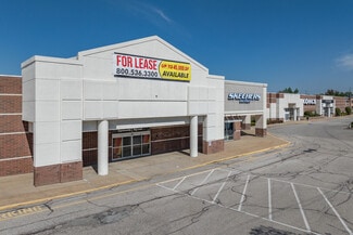 Highland Heights, OH Retail, Industrial - 6235-6245 Wilson Mills Rd