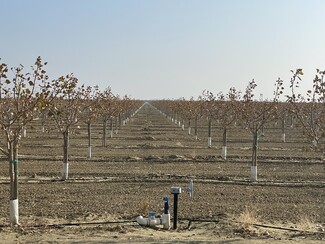 Five Points, CA Agricultural - West Mount Whitney Avenue