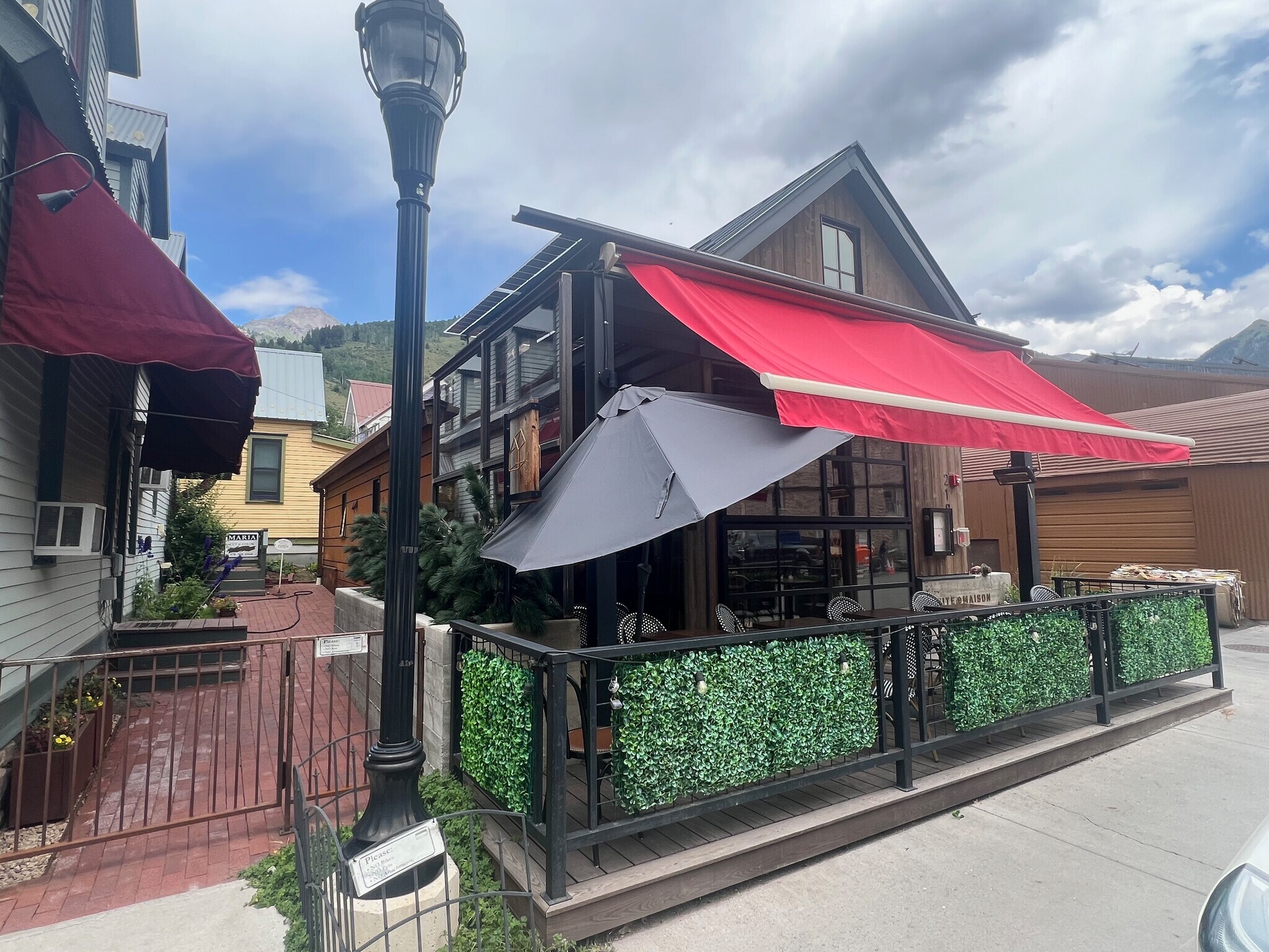 219 W Pacific Ave, Telluride, CO for Sale