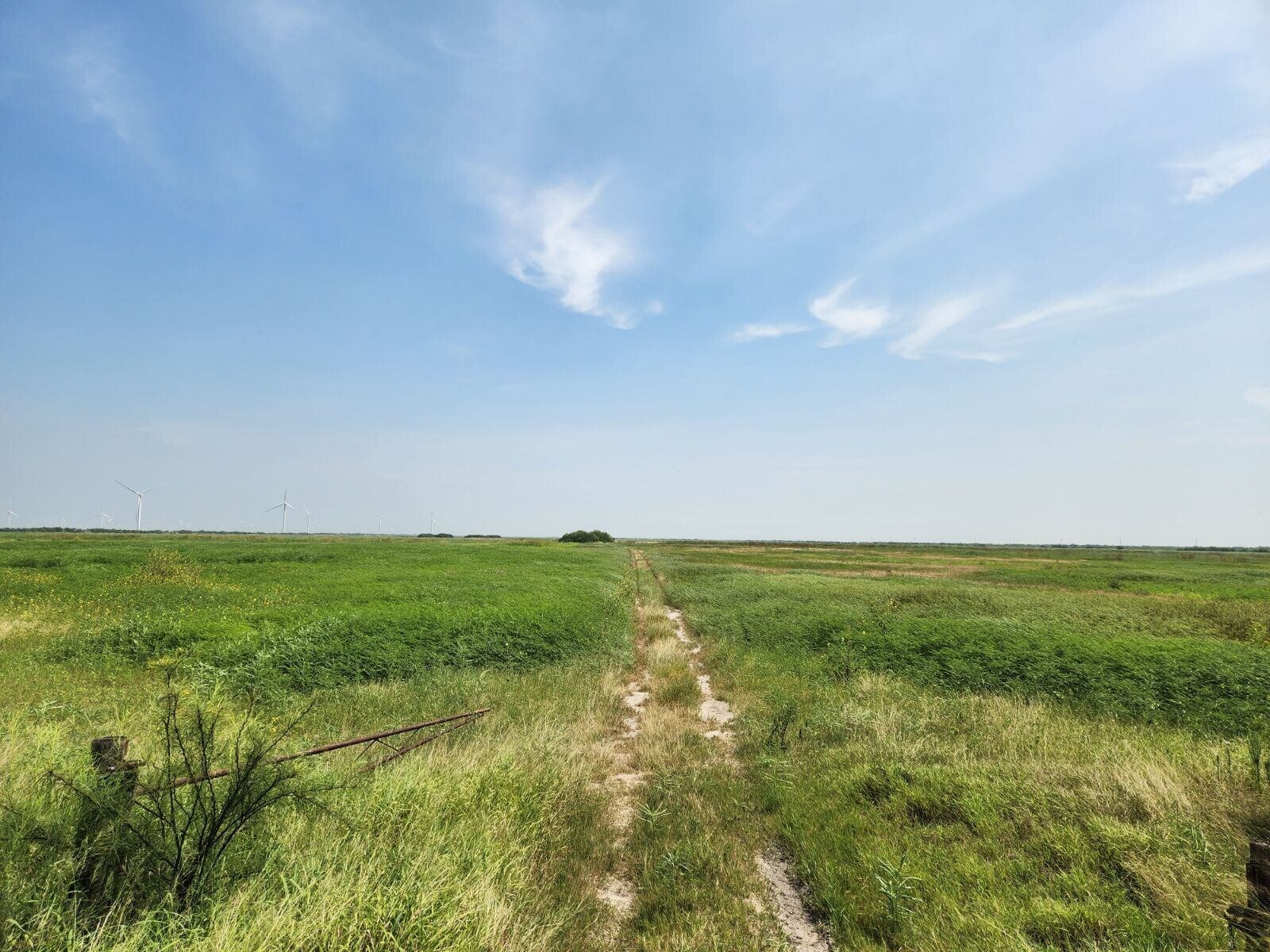 TBD FM 106, Rio Hondo, TX for Sale