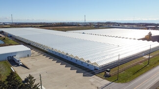 Kingsville, ON Specialty - 1526 County Road 20 Kingsville, ON Specialty - 1526 County Road 20