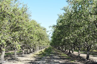 San Joaquin, CA Agricultural - 23820 W Adams Ave