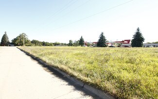 Flint, MI Commercial Land - 6042 Birch Dr Flint, MI Commercial Land - 6042 Birch Dr