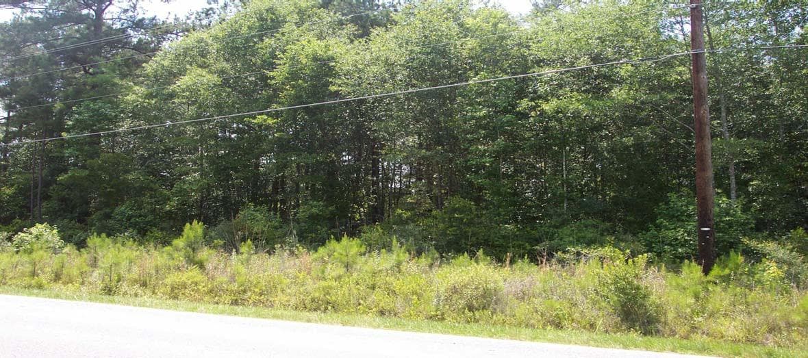 0 Mallard Rd, Summerville, SC for Sale