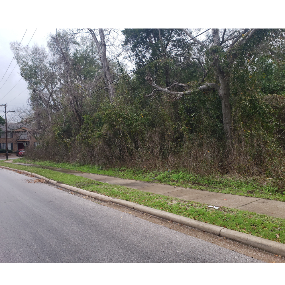 1038 9th St, Huntsville, TX for Sale