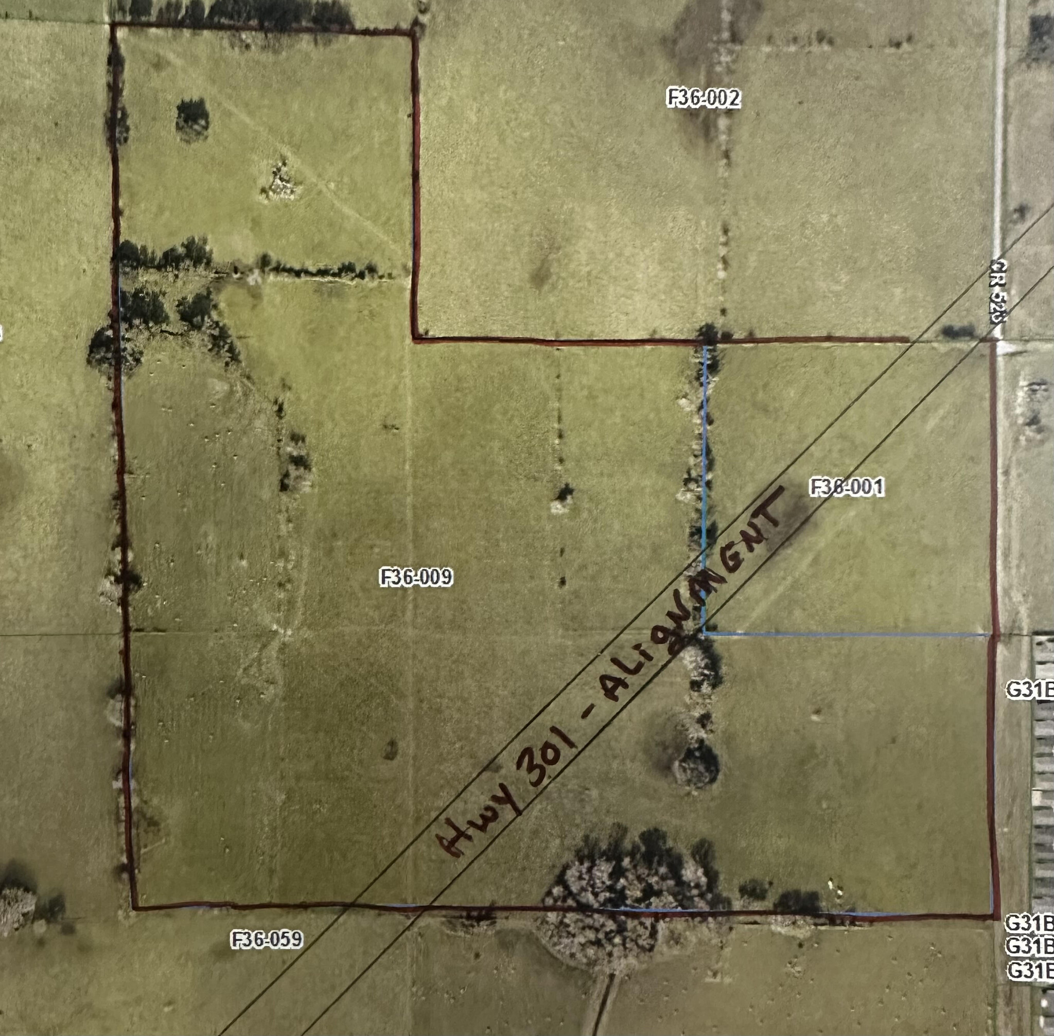 SR-301 & CR-523, Coleman, FL for Sale