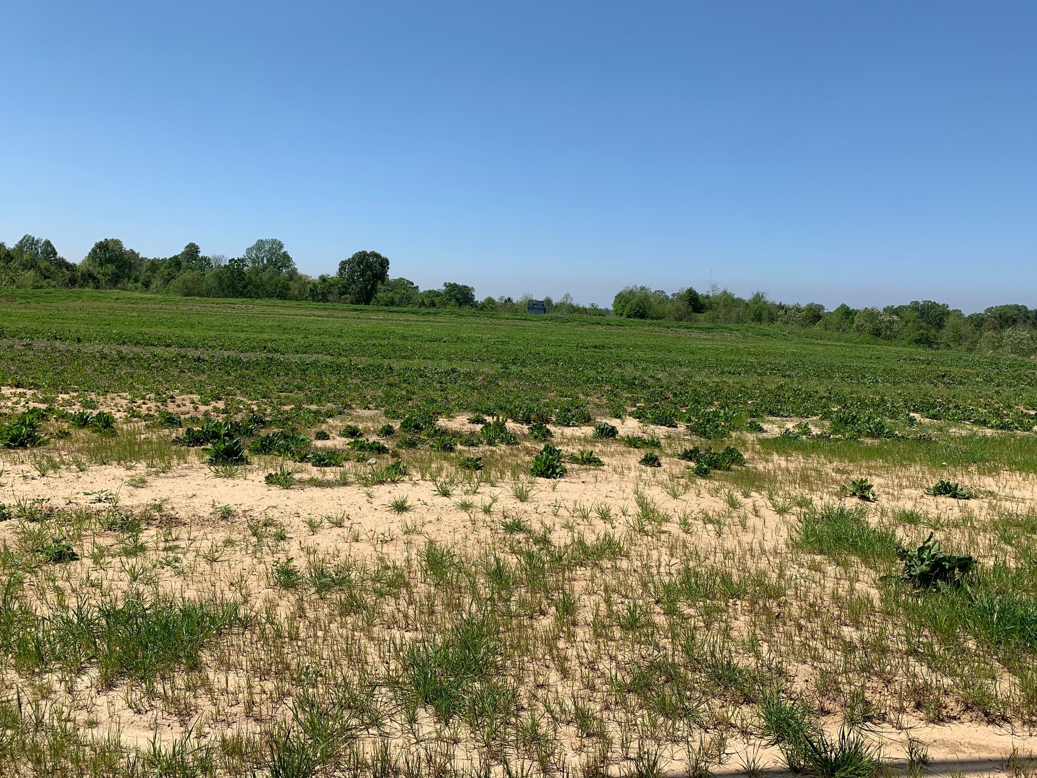 380 Highway 61 S, Natchez, MS for Sale