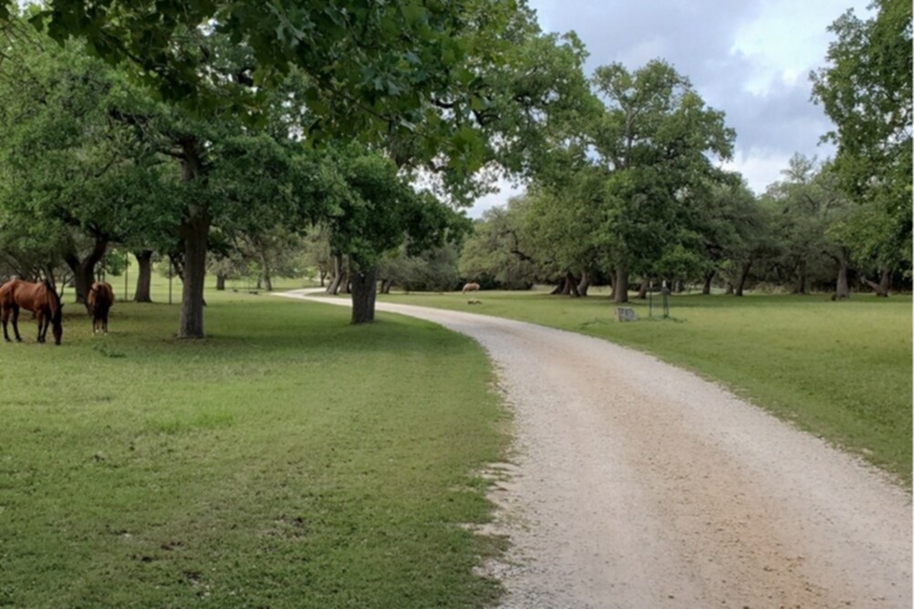 10021 Johns Rd, Boerne, TX for Sale