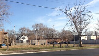 Chicago, IL Commercial Land - 8019 Halsted St Chicago, IL Commercial Land - 8019 Halsted St
