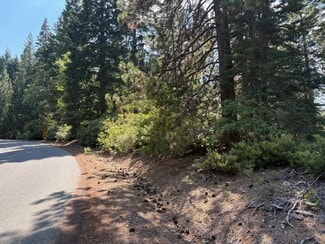 Mount Shasta, CA Residential - Castle Lake Rd