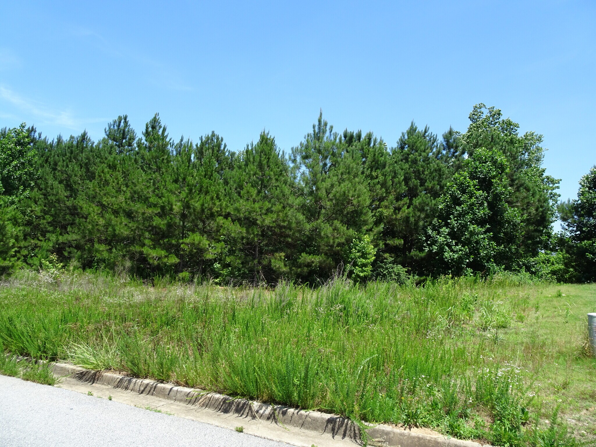 4134 Highway 212 Covington, GA 30016 Land Property for Sale on