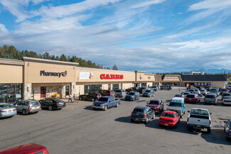 Wasilla, AK Retail - 591-695 E Parks Hwy