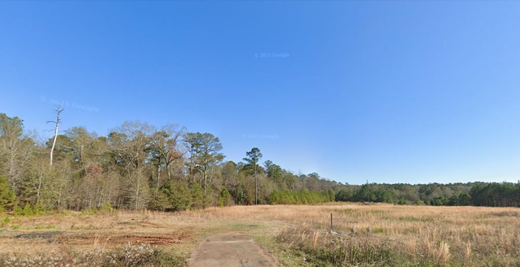 TBD US 280 hwy, Americus, GA for Sale