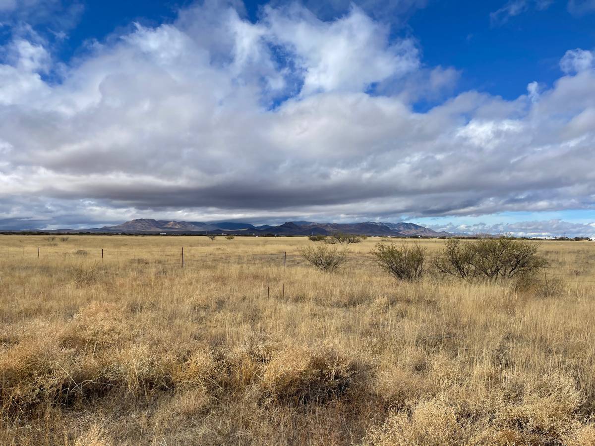 000 Haskell ave, Willcox, AZ for Sale