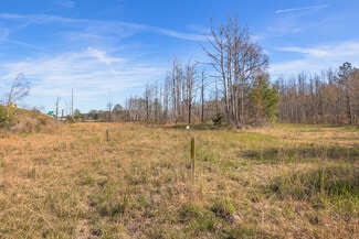 Savannah, GA Industrial Land - 215 Jimmy DeLoach Pky Savannah, GA Industrial Land - 215 Jimmy DeLoach Pky