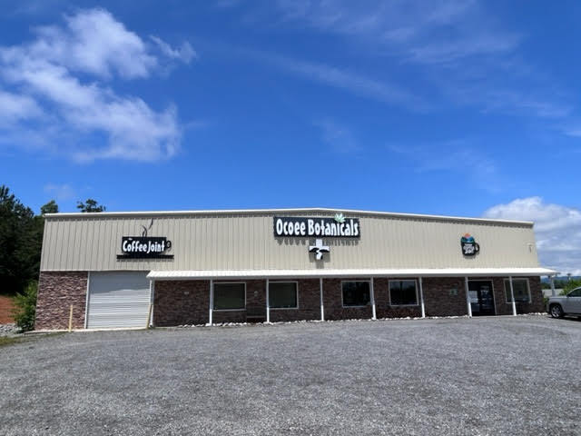 409 Highway 64, Ocoee, TN for Sale