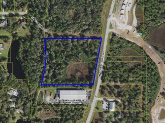 Lake Suzy, FL Commercial Land - SW County Road 769
