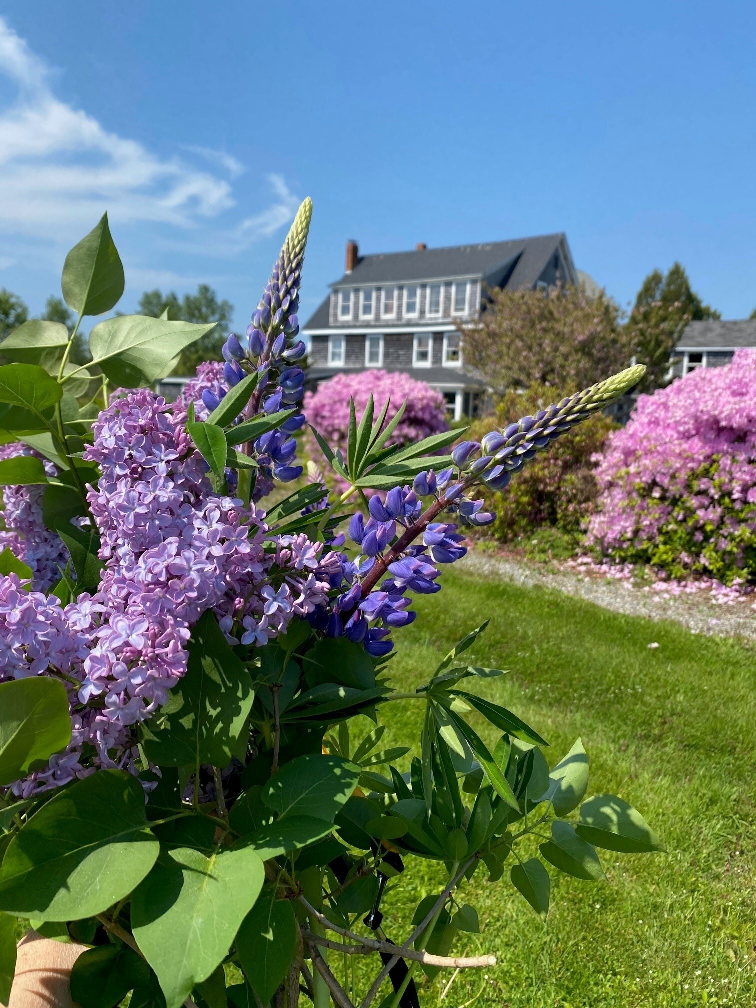 3063 Bristol Rd, New Harbor, ME for Sale