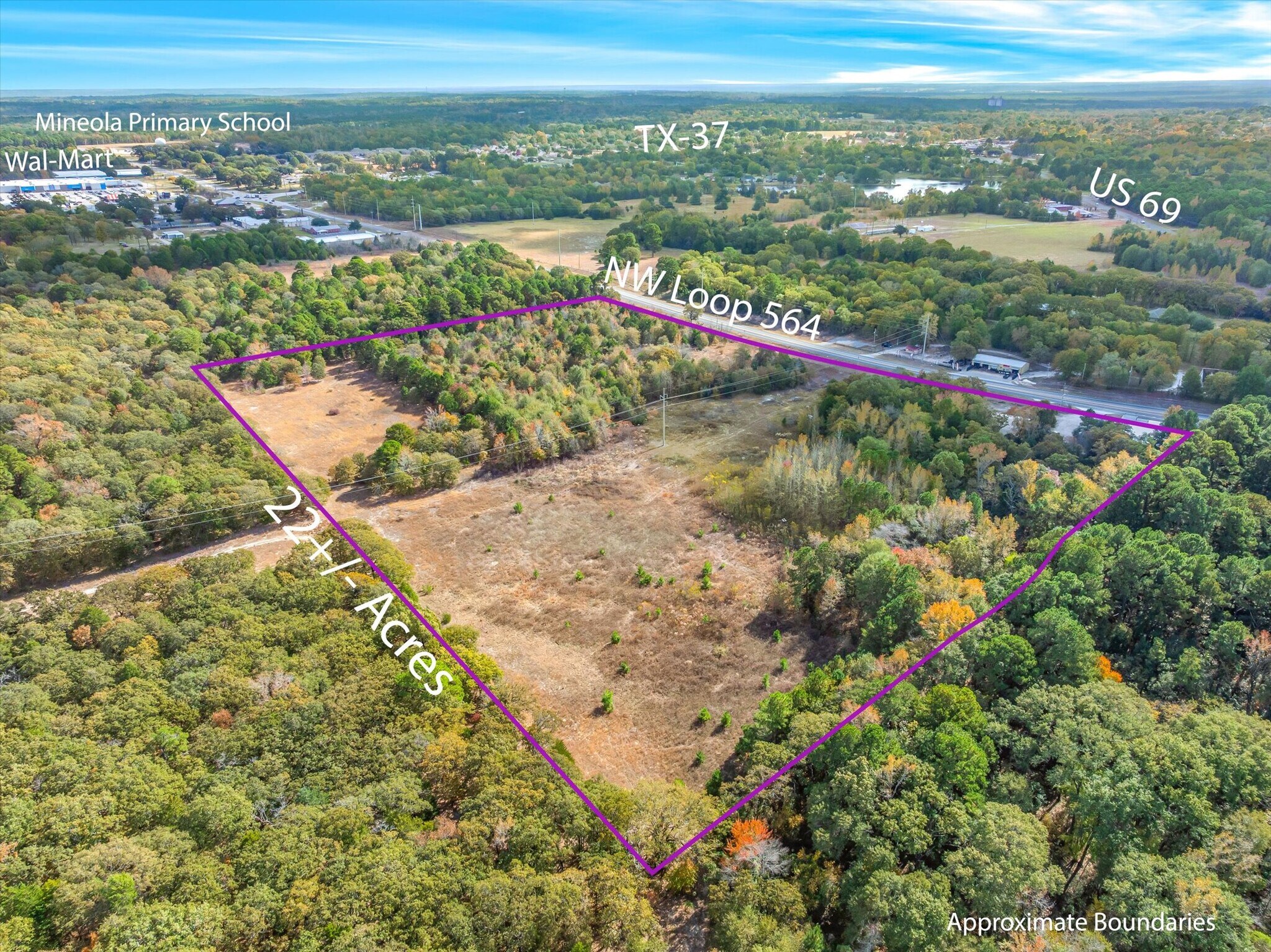 700 NW Loop 564, Mineola, TX for Sale