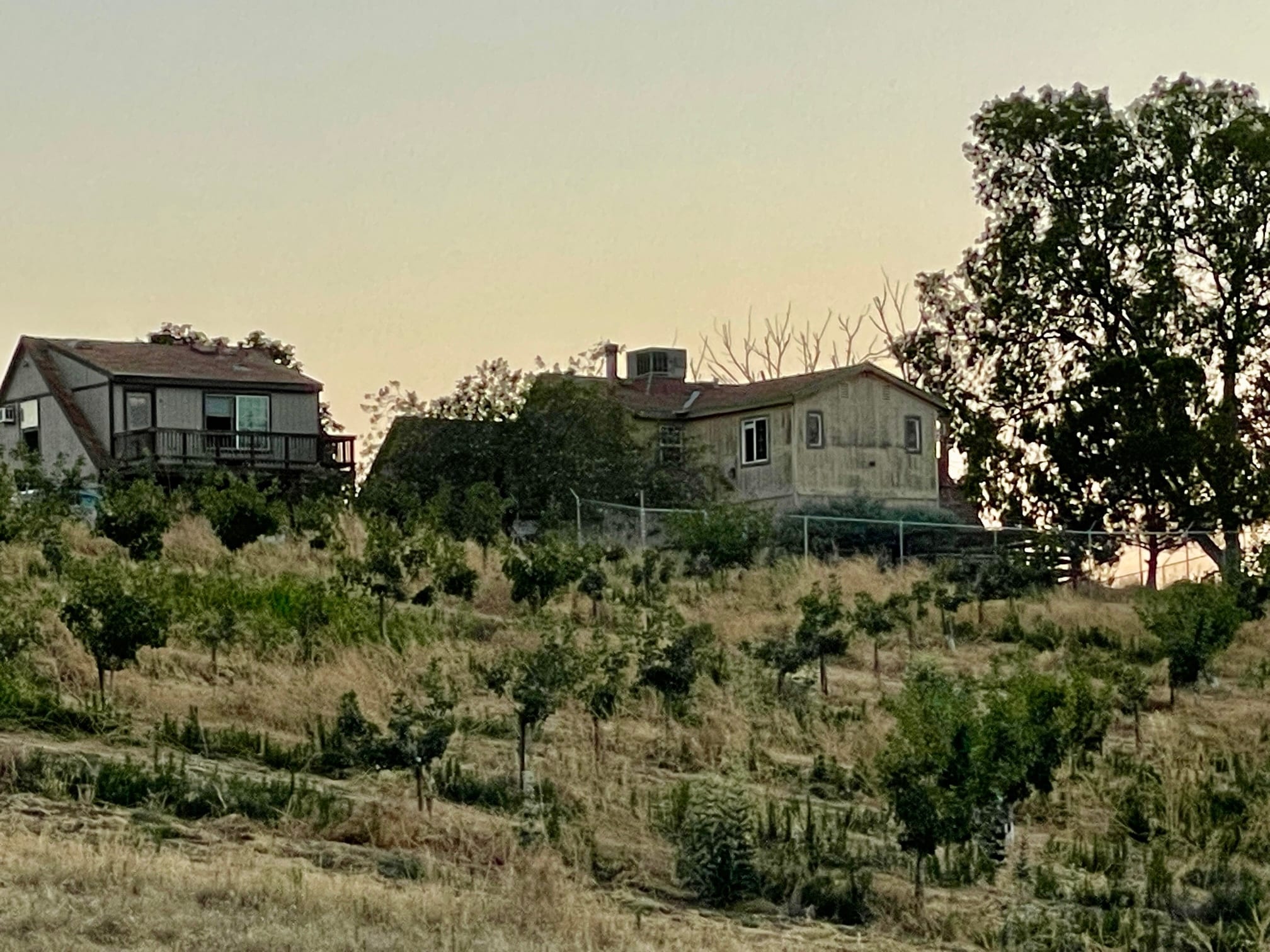 12400 Pistachio Rd Mc Farland, CA 93250 Land Property for Sale on