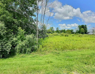 Appleton, WI Residential - Shagbark Way