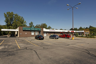 New Hudson, MI Retail - 56270-56330 Grand River Ave