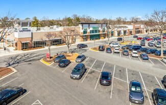 Herndon, VA Retail - 494 Elden St