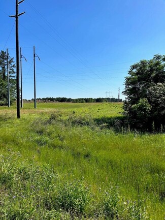 Statesboro, GA Commercial - Hwy 301 N. & Old River Rd. N.