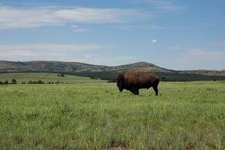 Arapaho, OK Commercial - E 980 Road