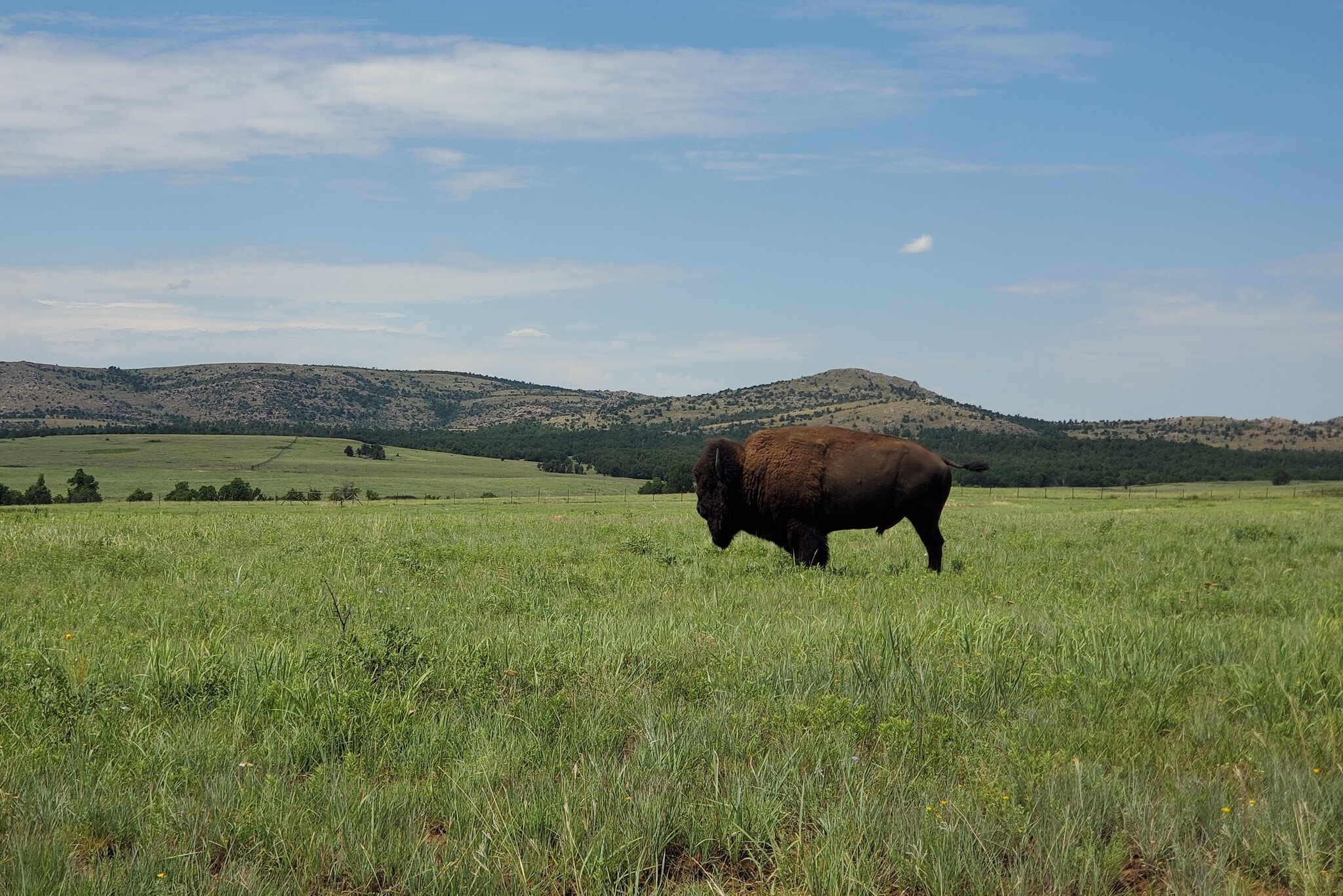 E 980 Road, Arapaho, OK for Sale