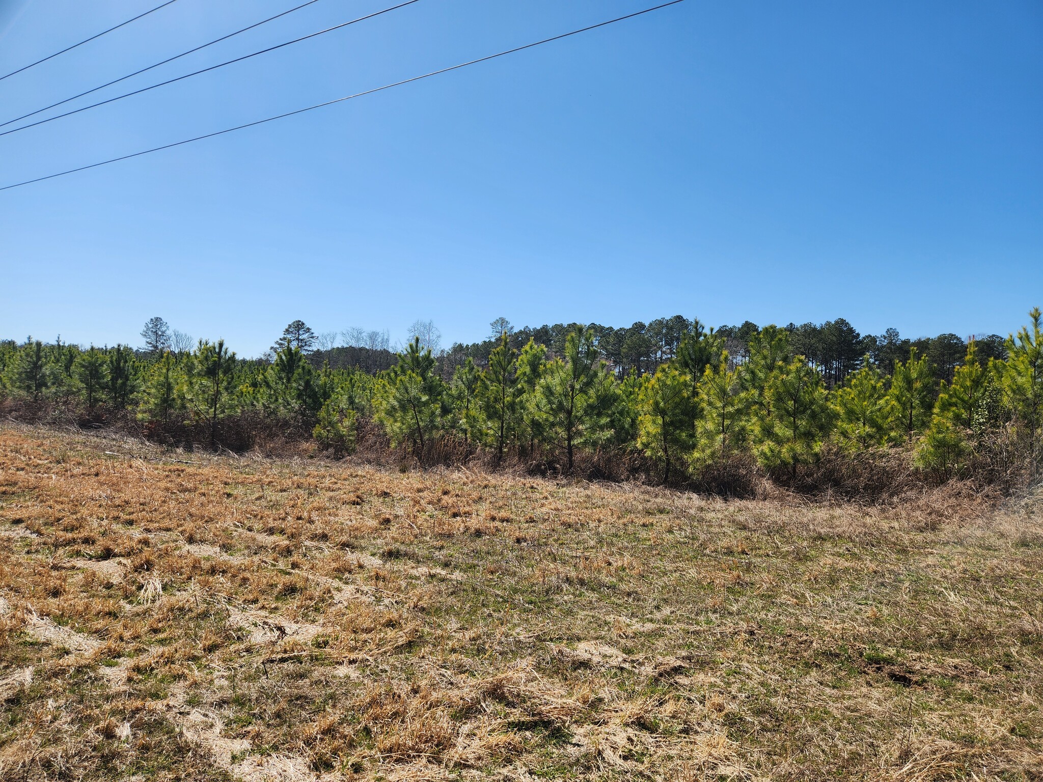 3004 U.S. 401 Hwy, Louisburg, NC for Sale
