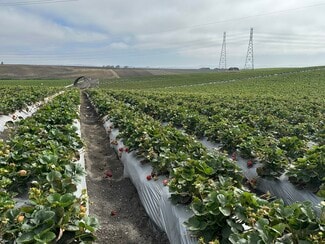 Salinas, CA Agricultural Land - 151 Rodgers Rd