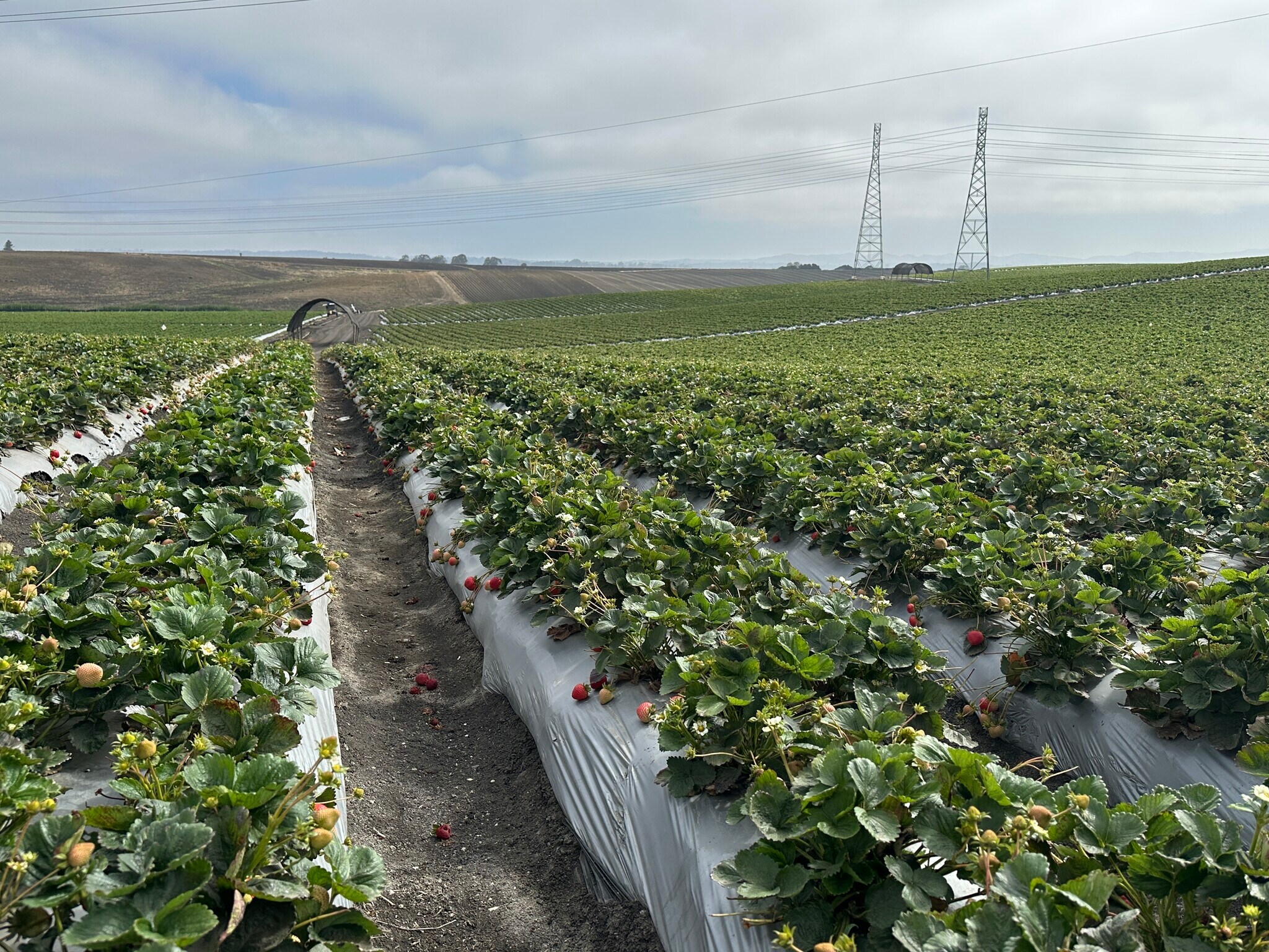 151 Rodgers Rd, Salinas, CA for Rent
