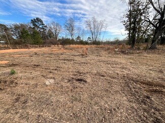Perdido, AL Commercial Land - 52000 Block US-31 Hwy