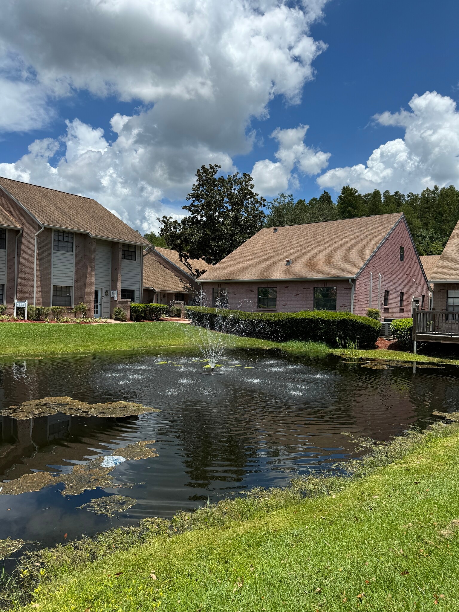 1523 Dale Mabry Hwy, Lutz, FL for Rent