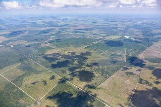 Wewahitchka, FL Commercial - CR 386