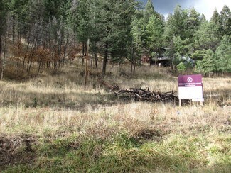 103 Alpine Vlg Rd  