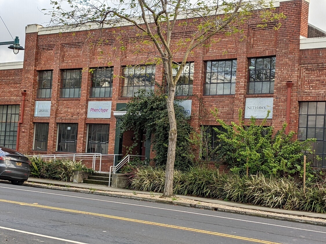 1251-1259 Park Ave, Emeryville, CA for Rent