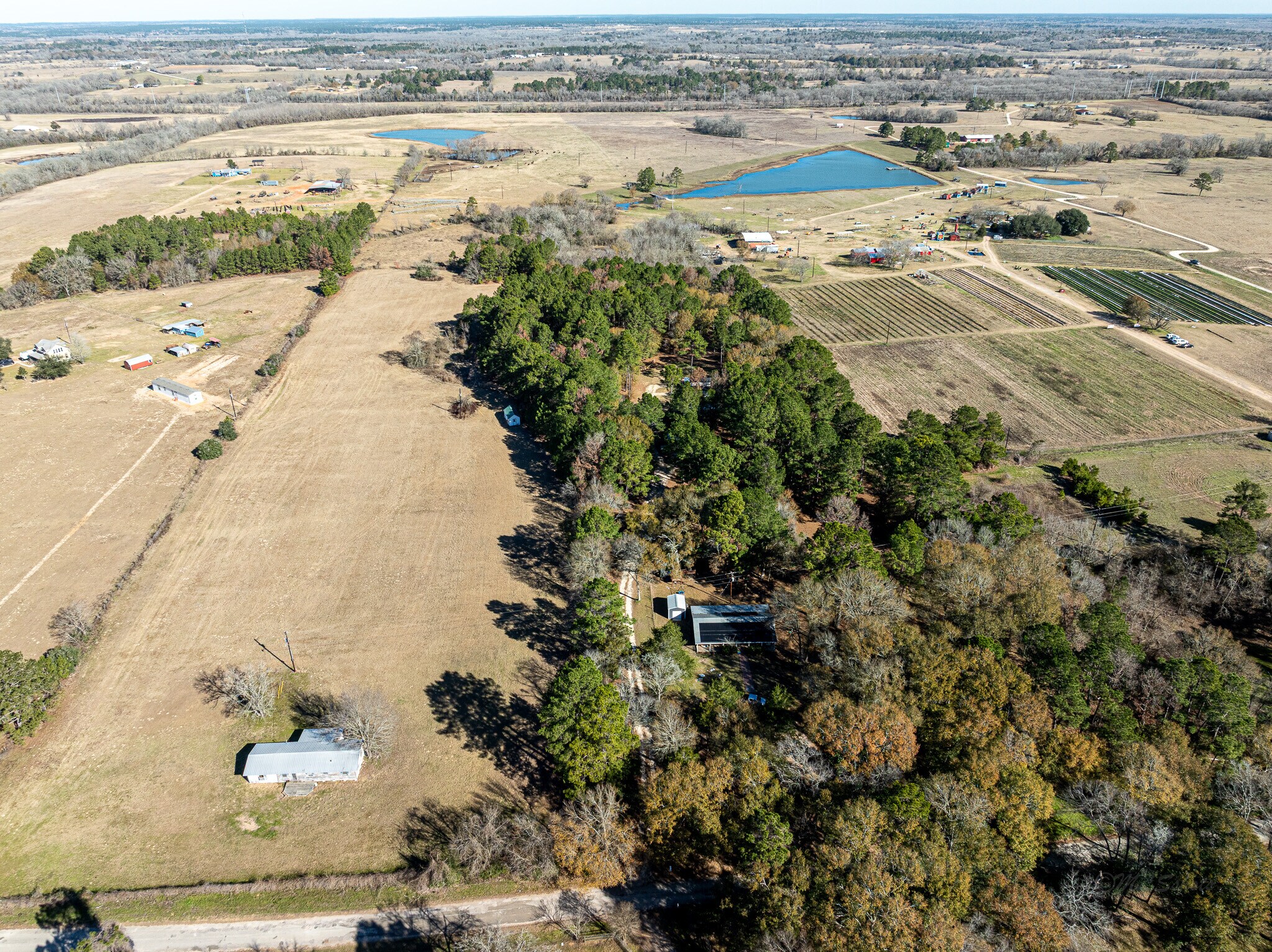 11201 County Road 203, Plantersville, TX for Sale