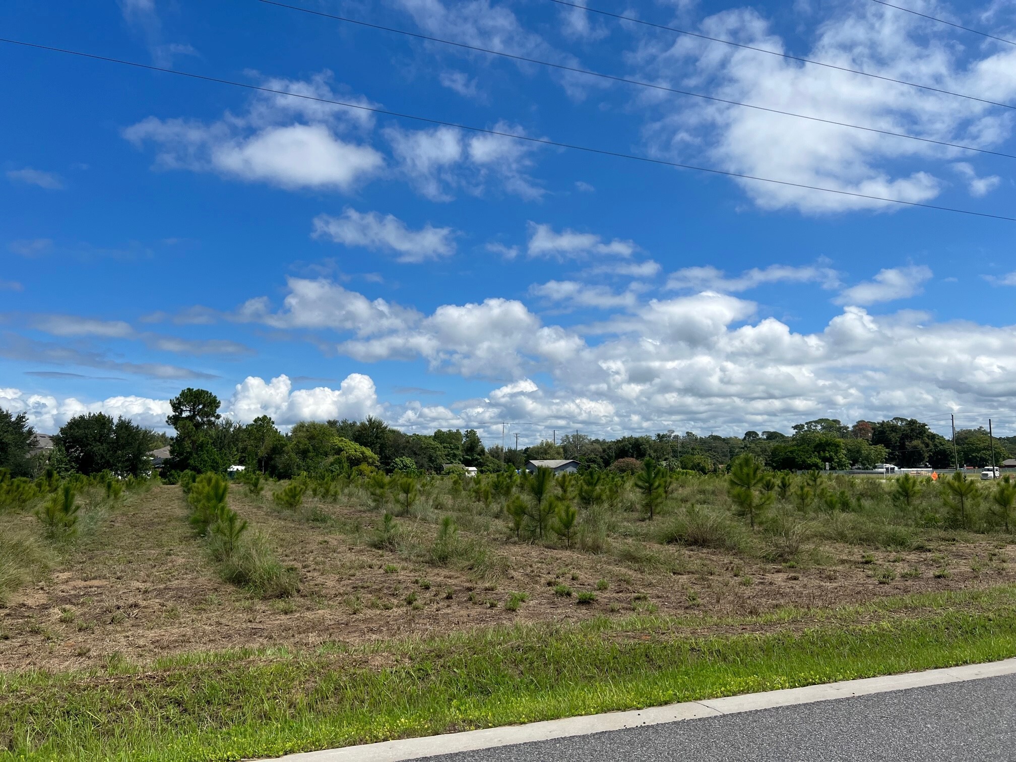 Camp Rd, Tavares, FL for Sale