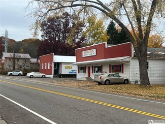 Cassadaga, NY Storefront - 320 Maple Ave