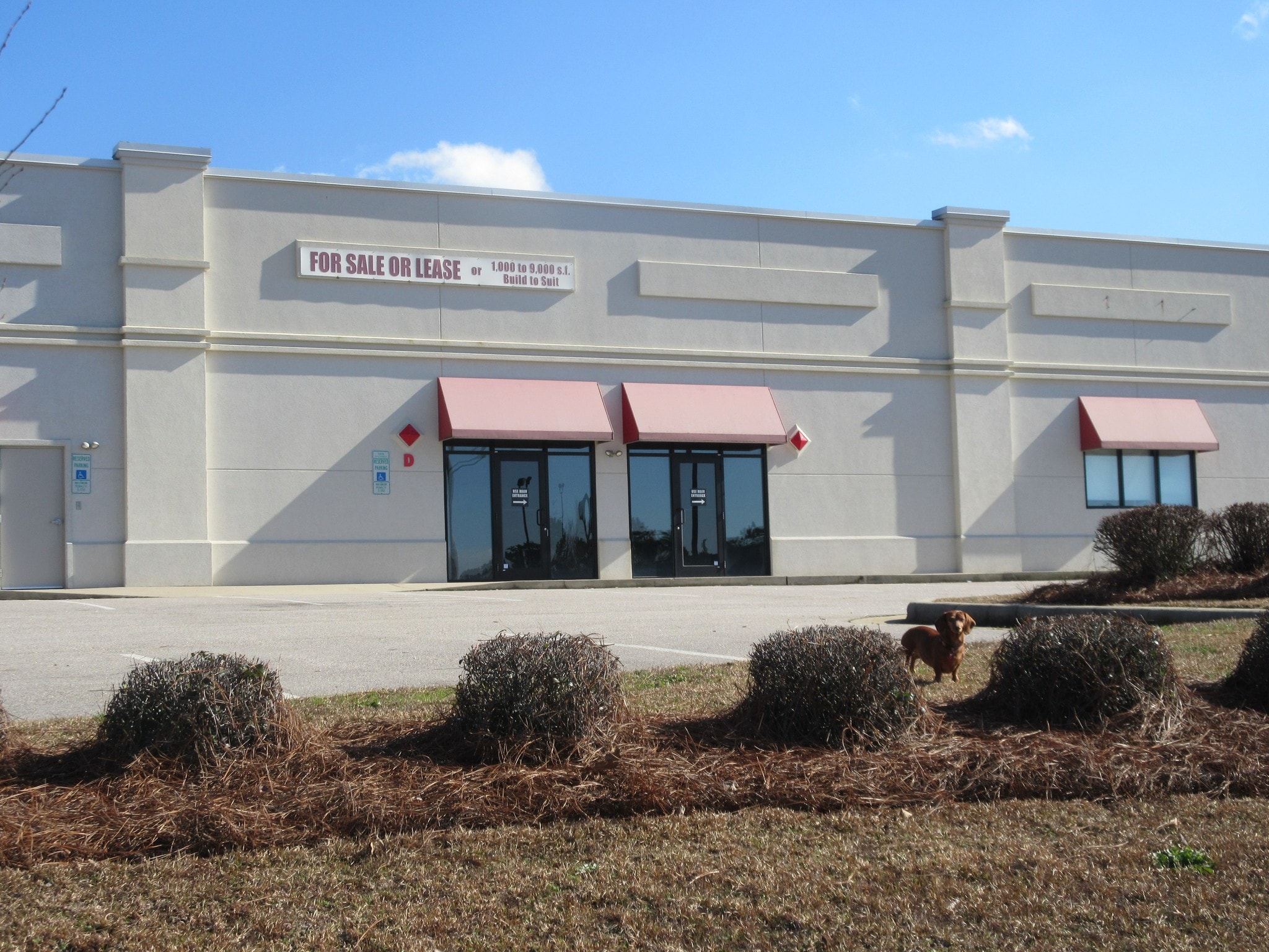 3011 W Nc42 Hwy Wilson, NC 27893 Retail Property for Lease on