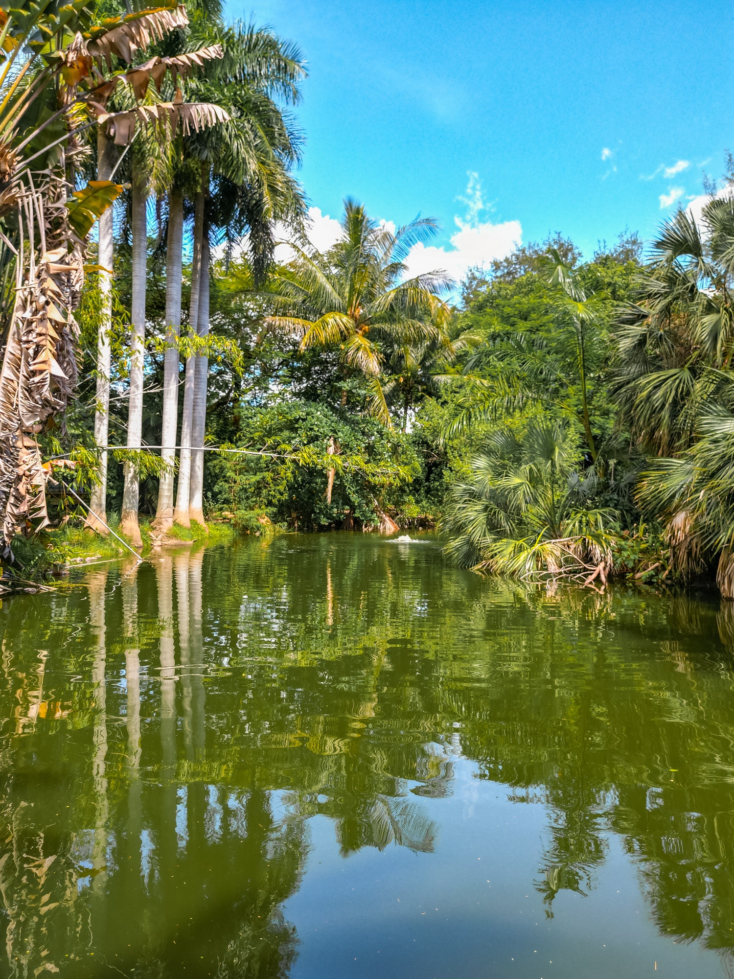 6415 Nw 1st Pl, Miami, FL for Sale