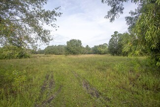 Fort Myers, FL Commercial Land - 13300 Apaloosa Ln Fort Myers, FL Commercial Land - 13300 Apaloosa Ln