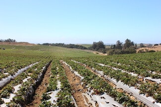 Salinas, CA Commercial - 16475 Blackie Rd