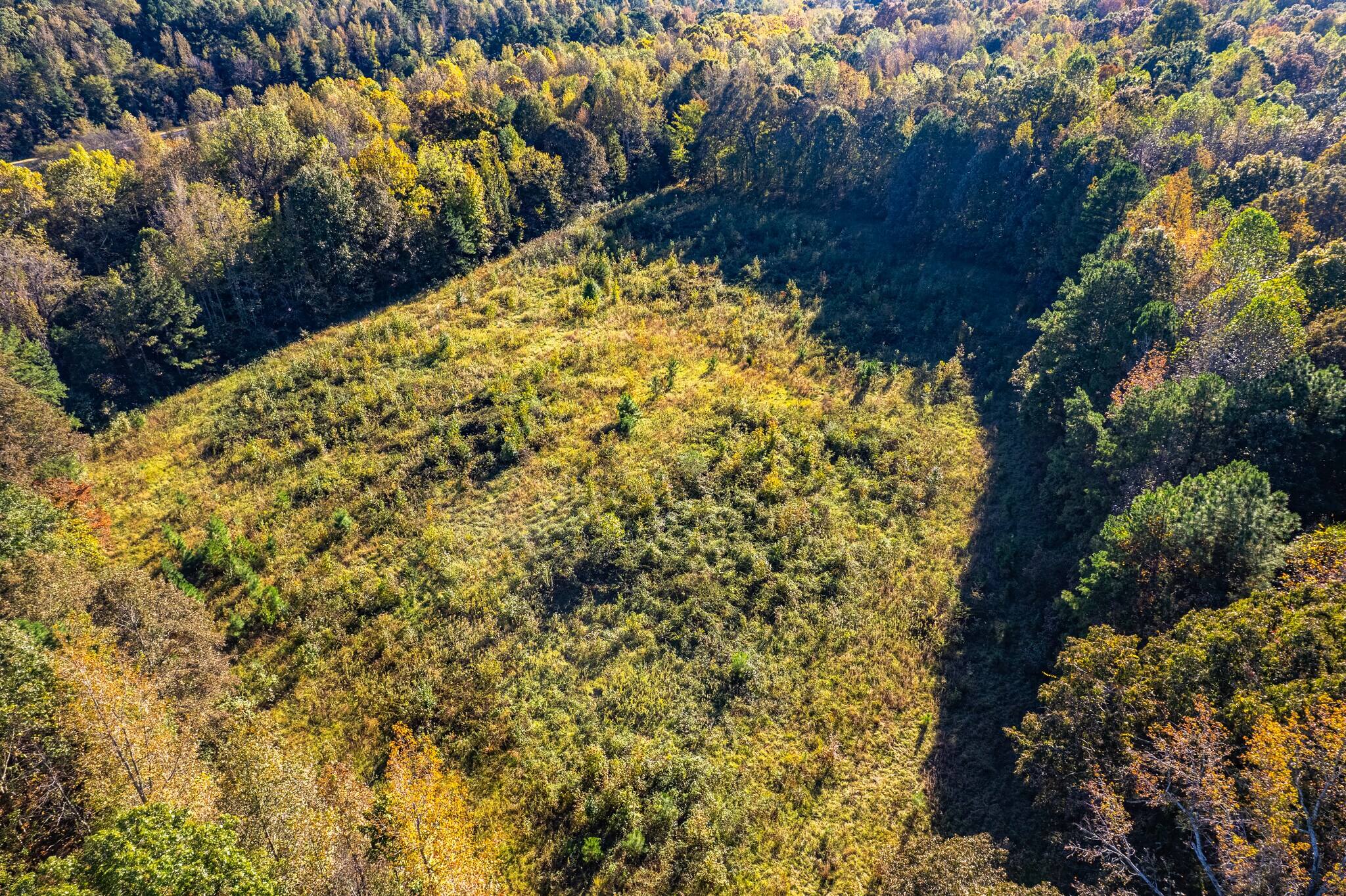 highway 24, Trinity, AL for Sale