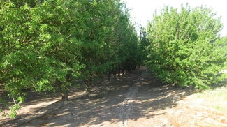 Kingsburg, CA Specialty - 15270 S McCall Ave