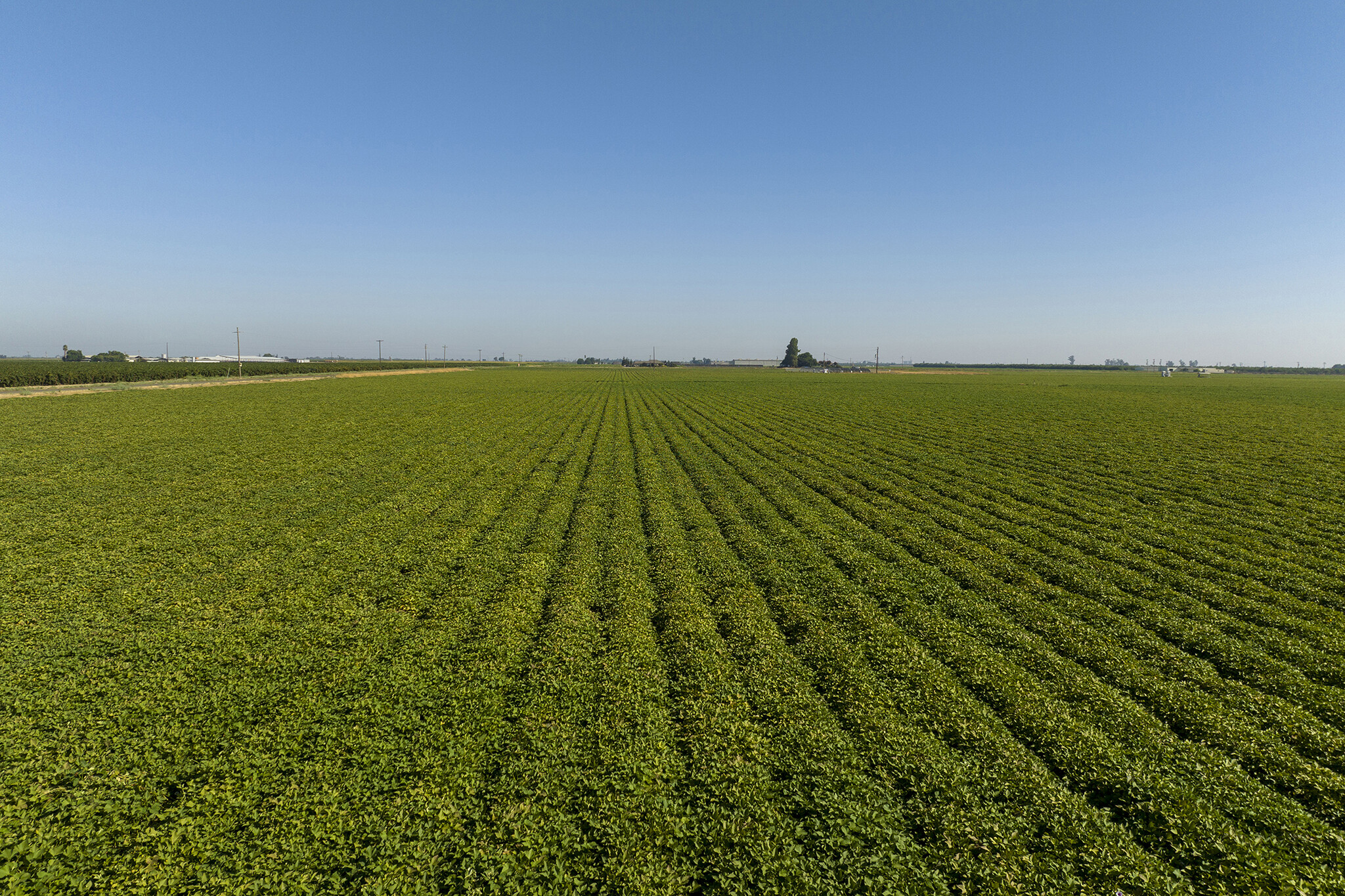 15490 Atwater Jordan Rd, Livingston, CA for Sale