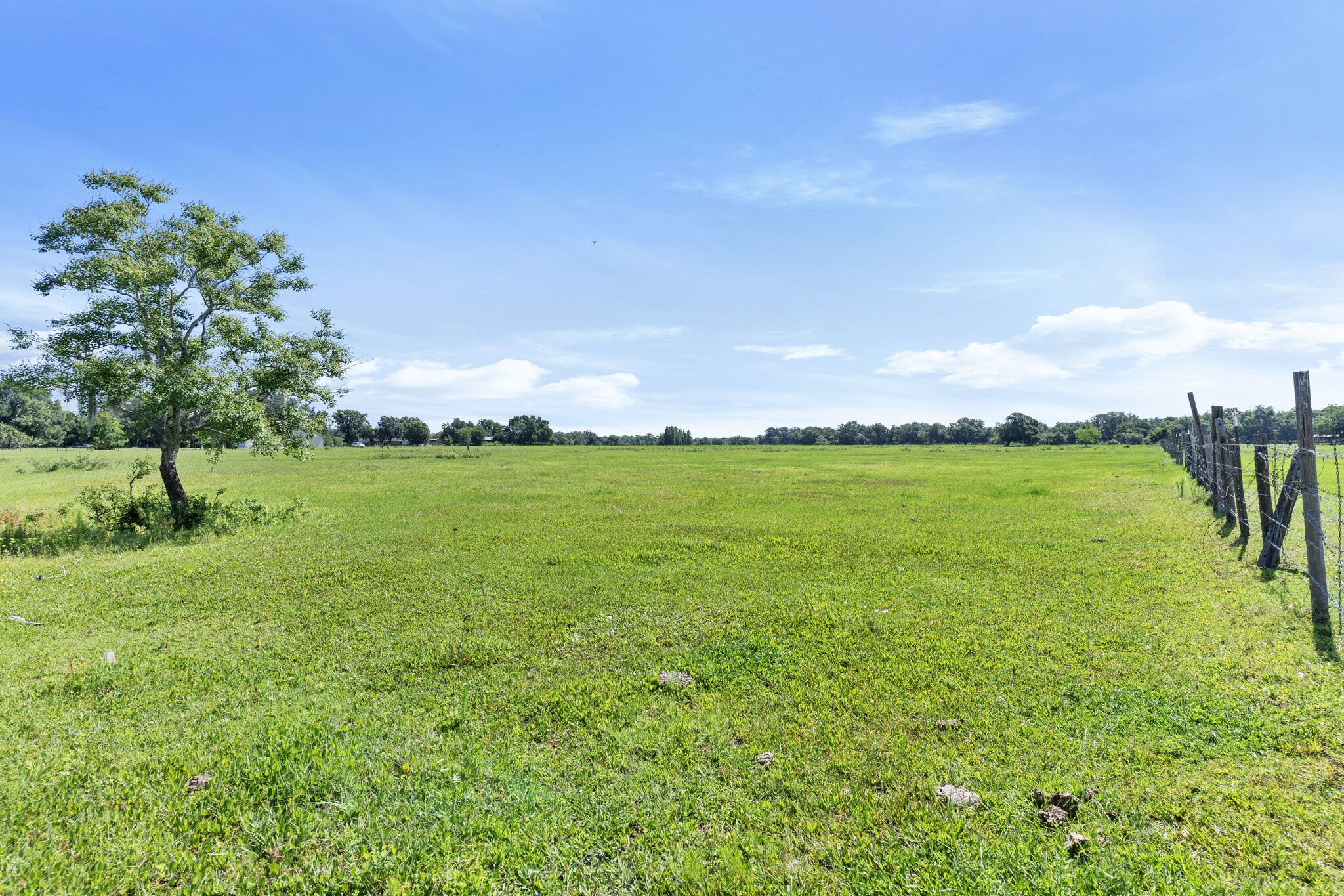 10077 Gallagher Rd, Dover, FL for Sale